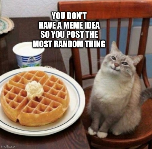 Cat likes their waffle |  YOU DON'T HAVE A MEME IDEA SO YOU POST THE MOST RANDOM THING | image tagged in cat likes their waffle | made w/ Imgflip meme maker