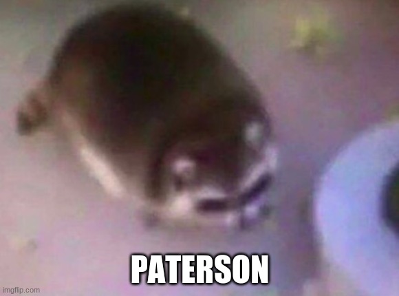 PATERSON | made w/ Imgflip meme maker