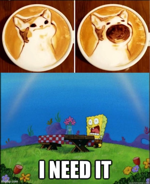 The best coffee in the entire world | image tagged in spongebob i need it | made w/ Imgflip meme maker