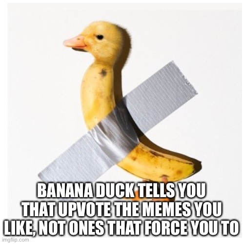 Banana Duck | BANANA DUCK TELLS YOU THAT UPVOTE THE MEMES YOU LIKE, NOT ONES THAT FORCE YOU TO | image tagged in banana | made w/ Imgflip meme maker