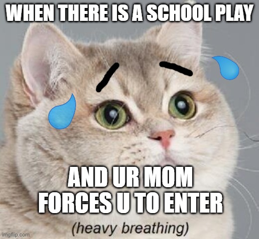 Heavy Breathing Cat Meme | WHEN THERE IS A SCHOOL PLAY; AND UR MOM FORCES U TO ENTER | image tagged in memes,reality | made w/ Imgflip meme maker