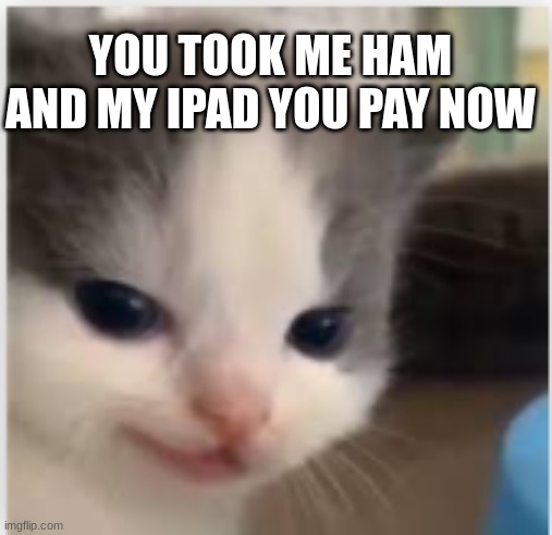 qweryuiop | YOU TOOK ME HAM AND MY IPAD YOU PAY NOW | image tagged in hangry | made w/ Imgflip meme maker