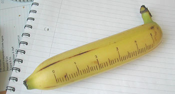 Banana for scale Blank Meme Template