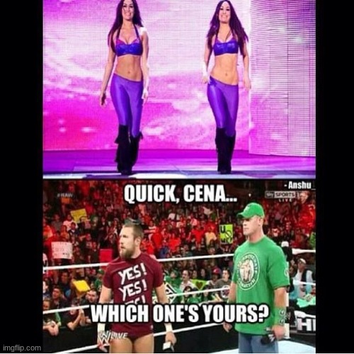 When the Bella Twins dress like this: | image tagged in memes,wwe,nikki bella | made w/ Imgflip meme maker