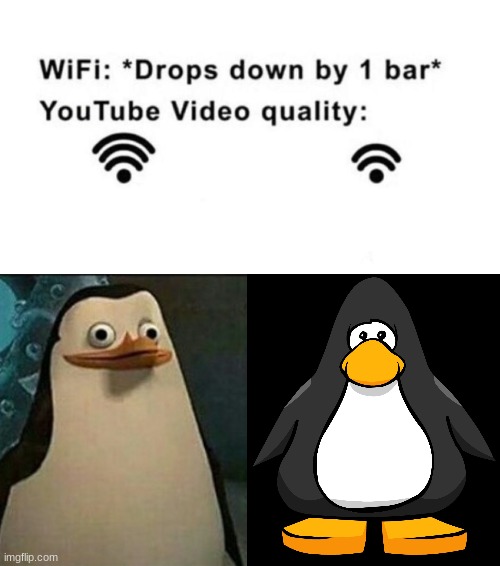 image tagged in fight club,socially awesome awkward penguin,private internal screaming,unpopular opinion puffin,youtube,socially awkward penguin | made w/ Imgflip meme maker