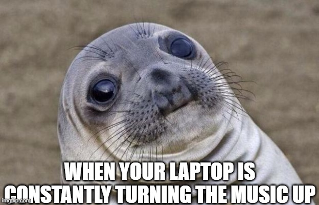 100% and then some more | WHEN YOUR LAPTOP IS CONSTANTLY TURNING THE MUSIC UP | image tagged in memes,awkward moment sealion | made w/ Imgflip meme maker