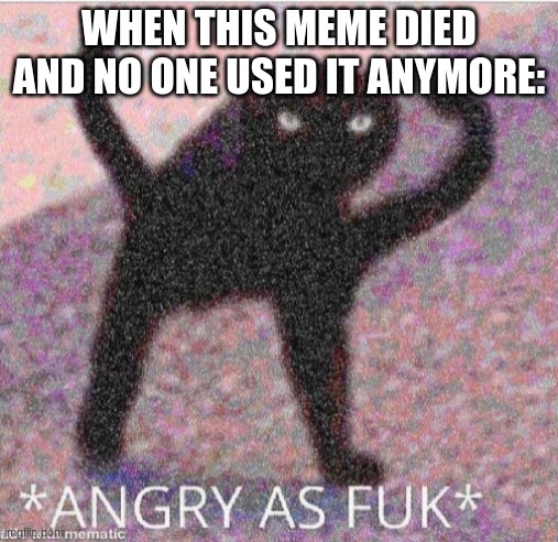 can we revive this meme plz? | WHEN THIS MEME DIED AND NO ONE USED IT ANYMORE: | image tagged in angry as fuk,memes,meme revival | made w/ Imgflip meme maker