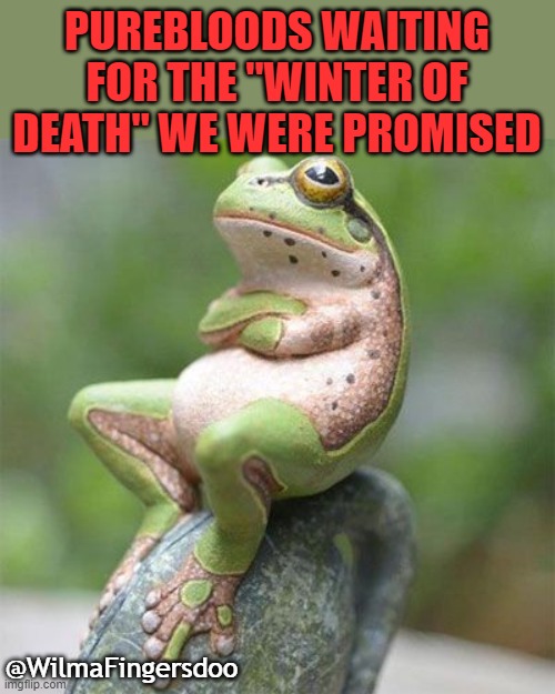 frog waiting | PUREBLOODS WAITING FOR THE "WINTER OF DEATH" WE WERE PROMISED; @WilmaFingersdoo | image tagged in frog waiting | made w/ Imgflip meme maker