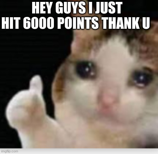 celebration | HEY GUYS I JUST HIT 6000 POINTS THANK U | image tagged in happy cat | made w/ Imgflip meme maker