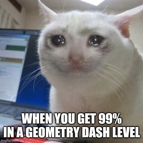 The most frustratingly wonderful game in existence | WHEN YOU GET 99% IN A GEOMETRY DASH LEVEL | image tagged in crying cat | made w/ Imgflip meme maker