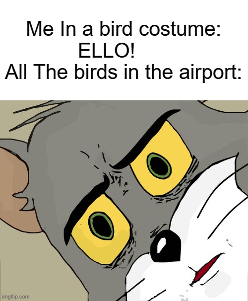 me in a bird costume be like | Me In a bird costume:        ELLO!              All The birds in the airport: | image tagged in memes,unsettled tom | made w/ Imgflip meme maker