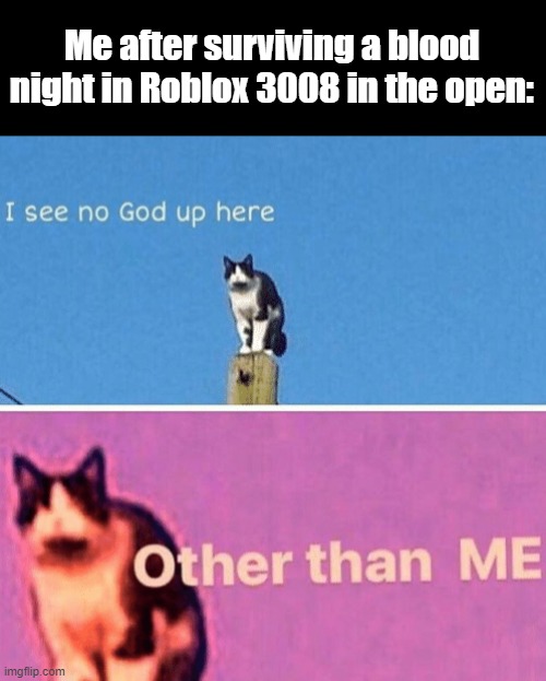 Last second Employee's are op ig | Me after surviving a blood night in Roblox 3008 in the open: | image tagged in hail pole cat,scp meme,scp 3008,roblox | made w/ Imgflip meme maker