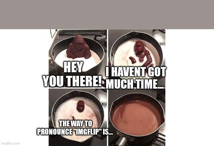 Who knows how to pronounce it? | HEY YOU THERE! I HAVENT GOT MUCH TIME... THE WAY TO PRONOUNCE "IMGFLIP" IS... | image tagged in chocolate monkey melting | made w/ Imgflip meme maker