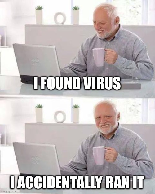 Non gamers be like: | I FOUND VIRUS; I ACCIDENTALLY RAN IT | image tagged in memes,hide the pain harold | made w/ Imgflip meme maker