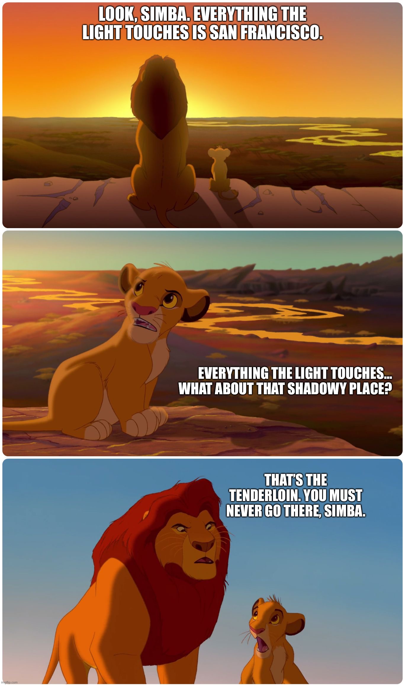 The Tenderloin | LOOK, SIMBA. EVERYTHING THE LIGHT TOUCHES IS SAN FRANCISCO. EVERYTHING THE LIGHT TOUCHES… WHAT ABOUT THAT SHADOWY PLACE? THAT’S THE TENDERLOIN. YOU MUST NEVER GO THERE, SIMBA. | image tagged in shadowy place lion king | made w/ Imgflip meme maker