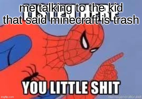 NOW LISTEN HERE YOU LITTLE SHIT | me talking to the kid that said minecraft is trash | image tagged in now listen here you little shit | made w/ Imgflip meme maker