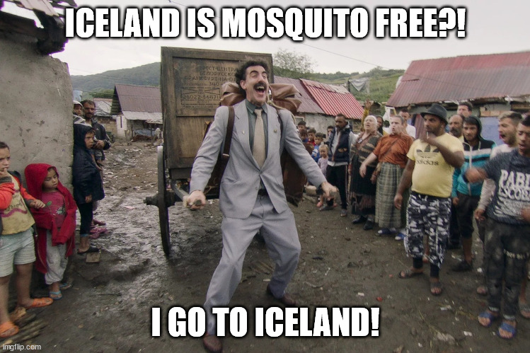 Borat i go to america | ICELAND IS MOSQUITO FREE?! I GO TO ICELAND! | image tagged in borat i go to america | made w/ Imgflip meme maker