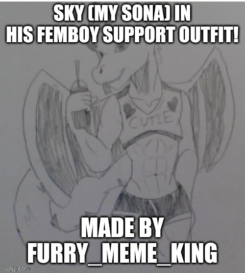 I'm not a femboy irl, but I'm a supporter! And my sona does like dressing like one! | SKY (MY SONA) IN HIS FEMBOY SUPPORT OUTFIT! MADE BY FURRY_MEME_KING | made w/ Imgflip meme maker