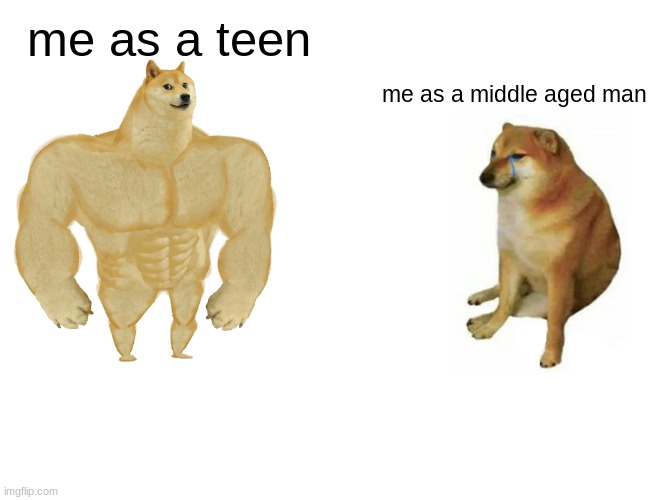 Me as doge | me as a teen; me as a middle aged man | image tagged in memes,buff doge vs cheems | made w/ Imgflip meme maker