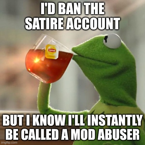 But That's None Of My Business Meme | I'D BAN THE SATIRE ACCOUNT; BUT I KNOW I'LL INSTANTLY BE CALLED A MOD ABUSER | image tagged in memes,but that's none of my business,kermit the frog | made w/ Imgflip meme maker