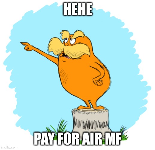 i made this in the comments a while back and this stuff i thought was funny so here u go | HEHE PAY FOR AIR MF | image tagged in the lorax | made w/ Imgflip meme maker