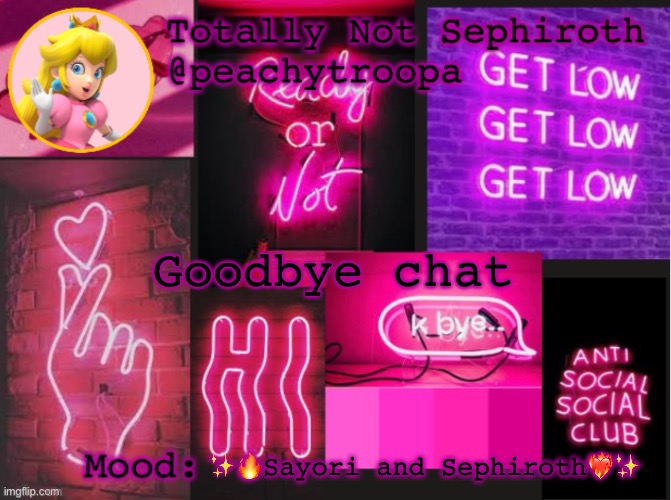 Princess Peach Aesthetic Mood Temp (thx Lily) | Goodbye chat; ✨🔥Sayori and Sephiroth❤️‍🔥✨ | image tagged in princess peach aesthetic mood temp thx lily | made w/ Imgflip meme maker