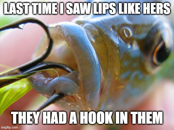 LAST TIME I SAW LIPS LIKE HERS THEY HAD A HOOK IN THEM | made w/ Imgflip meme maker
