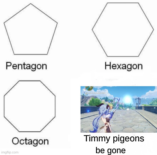 Timmy pidgins | Timmy pigeons; be gone | image tagged in memes,pentagon hexagon octagon | made w/ Imgflip meme maker