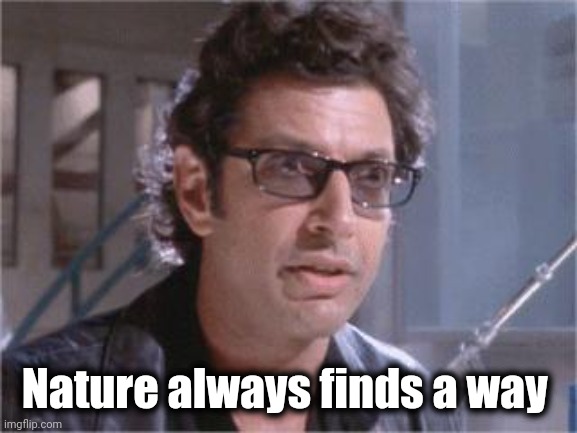 Jeff Goldblum | Nature always finds a way | image tagged in jeff goldblum | made w/ Imgflip meme maker