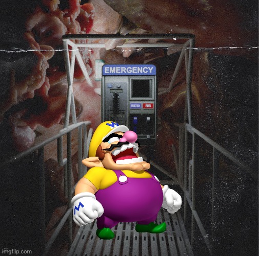 Wario dies in the Mystery Flesh Pit 2007 Disaster.wav | made w/ Imgflip meme maker