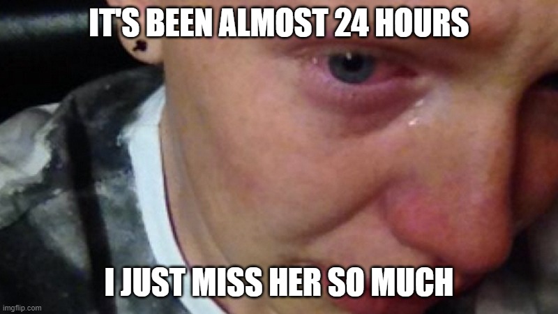 Feel Like Shit, Just want her back | IT'S BEEN ALMOST 24 HOURS; I JUST MISS HER SO MUCH | image tagged in feel like shit just want her back | made w/ Imgflip meme maker