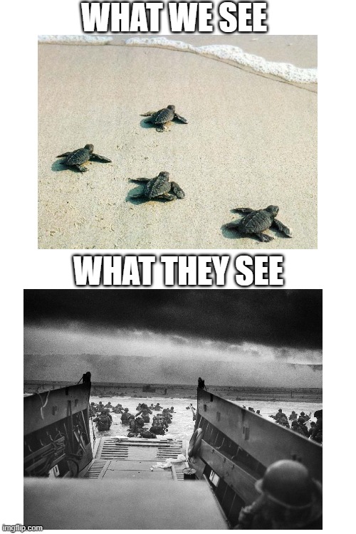 WHAT WE SEE; WHAT THEY SEE | image tagged in blank white template | made w/ Imgflip meme maker
