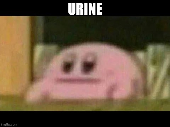 urine | URINE | image tagged in kirby derp-face,urine,kirby,memes,pee,funny | made w/ Imgflip meme maker