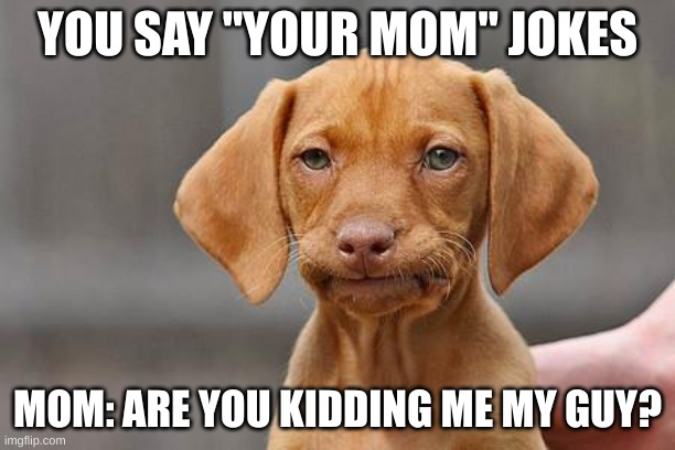Is this.... | YOU SAY "YOUR MOM" JOKES; MOM: ARE YOU KIDDING ME MY GUY? | image tagged in dissapointed puppy | made w/ Imgflip meme maker