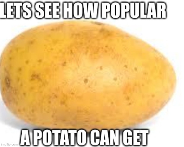 Meme | image tagged in potato | made w/ Imgflip meme maker