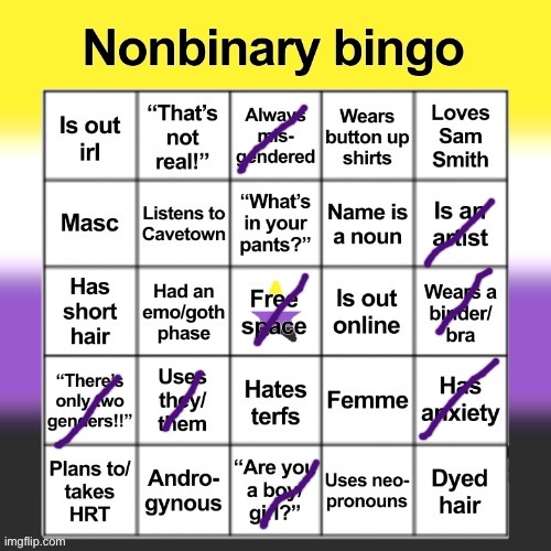 i am gay tho | image tagged in nonbinary bingo | made w/ Imgflip meme maker