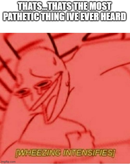 Wheeze | THATS...THATS THE MOST PATHETIC THING IVE EVER HEARD | image tagged in wheeze | made w/ Imgflip meme maker