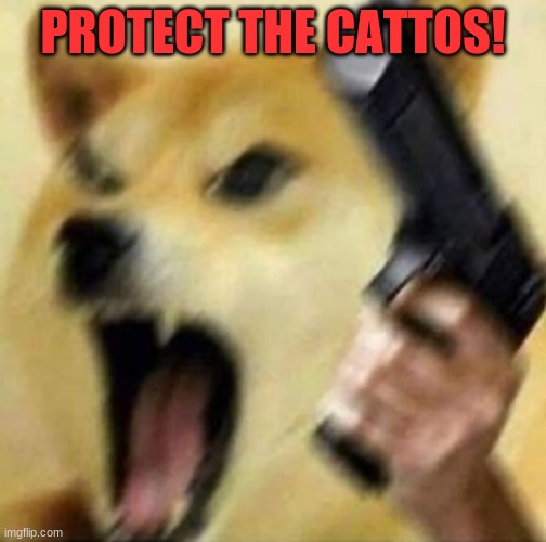 Angry doge with gun | PROTECT THE CATTOS! | image tagged in angry doge with gun | made w/ Imgflip meme maker