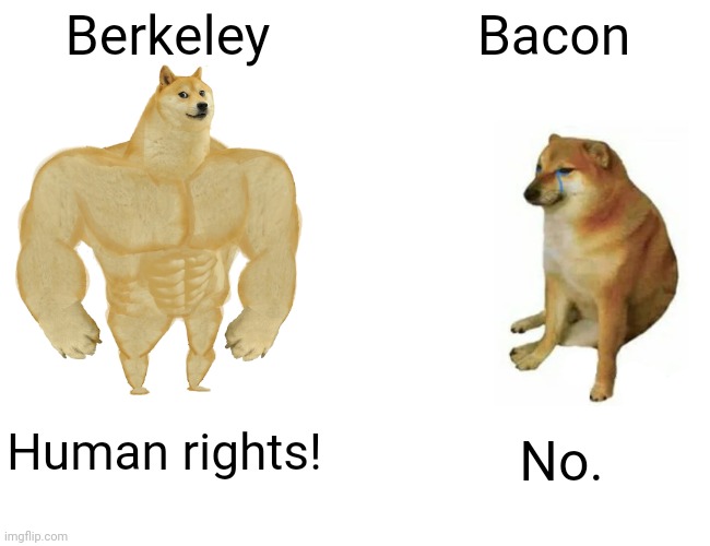 Buff Doge vs. Cheems Meme | Berkeley Bacon Human rights! No. | image tagged in memes,buff doge vs cheems | made w/ Imgflip meme maker