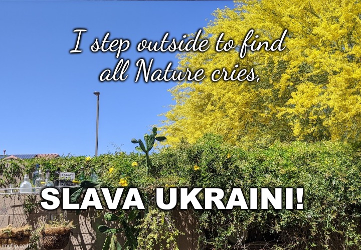 Nature Cries Slava Ukraini | I step outside to find 
all Nature cries, SLAVA UKRAINI! | image tagged in colors of ukraine,slava ukraini,nature in colors of ukraine | made w/ Imgflip meme maker