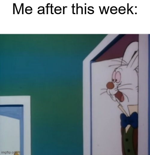 Its a very hectic week | Me after this week: | image tagged in white rabbit hype | made w/ Imgflip meme maker