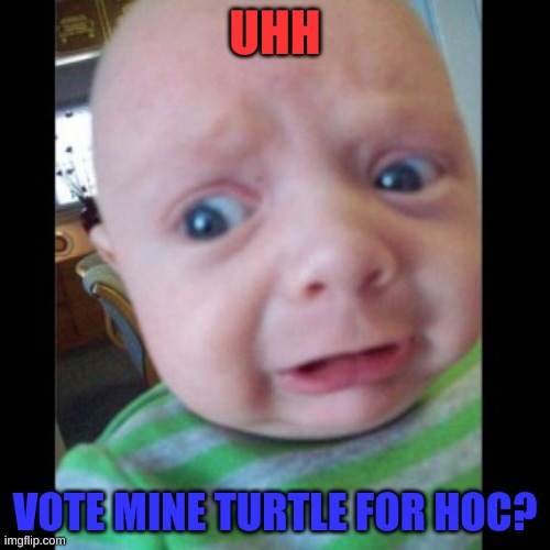 lets get this last win for HOC! | UHH; VOTE MINE TURTLE FOR HOC? | image tagged in uhhhhhhhhh,mine turtle for head of congress,final win | made w/ Imgflip meme maker