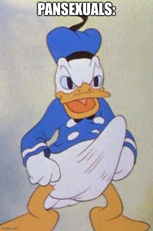 Horny Donald Duck | PANSEXUALS: | image tagged in horny donald duck | made w/ Imgflip meme maker