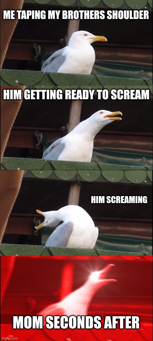 Inhaling Seagull | ME TAPING MY BROTHERS SHOULDER; HIM GETTING READY TO SCREAM; HIM SCREAMING; MOM SECONDS AFTER | image tagged in memes,inhaling seagull | made w/ Imgflip meme maker