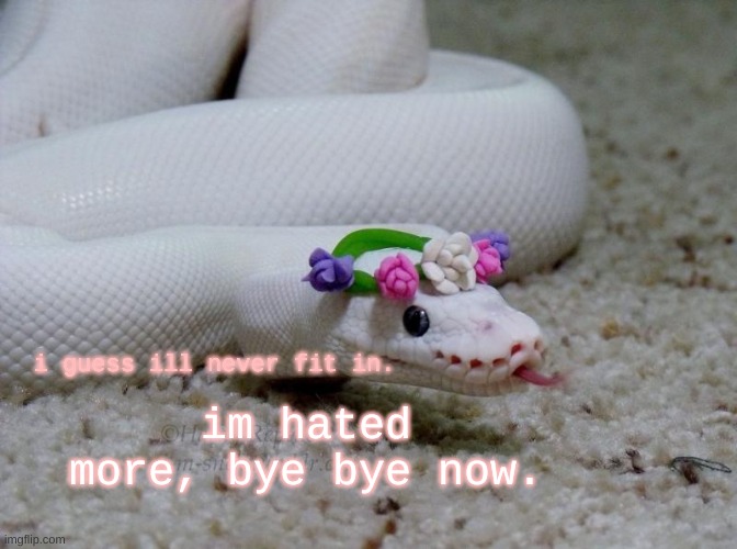 fr, fr. | i guess ill never fit in. im hated more, bye bye now. | image tagged in snek | made w/ Imgflip meme maker