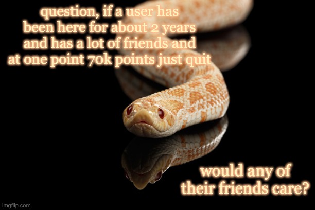 . | question, if a user has been here for about 2 years and has a lot of friends and at one point 70k points just quit; would any of their friends care? | made w/ Imgflip meme maker
