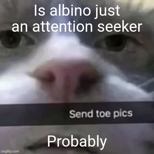 kat | Is albino just an attention seeker; Probably | image tagged in kat | made w/ Imgflip meme maker