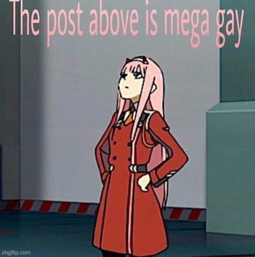 The post above is mega gay | image tagged in the post above is mega gay | made w/ Imgflip meme maker