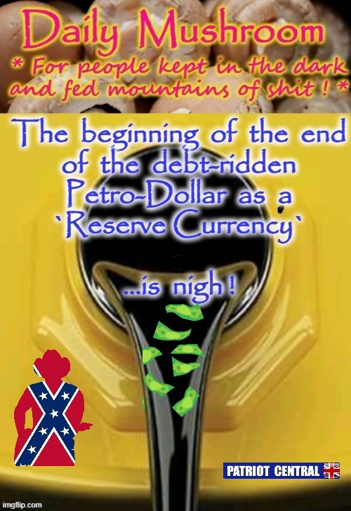 Reserve Currency ? | image tagged in dollar store | made w/ Imgflip meme maker