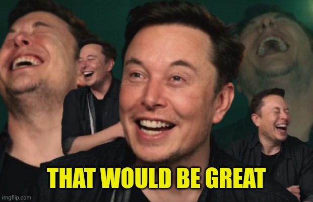 Elon Musk Laughing | THAT WOULD BE GREAT | image tagged in elon musk laughing | made w/ Imgflip meme maker